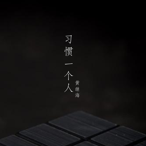 习惯一个人 伴奏