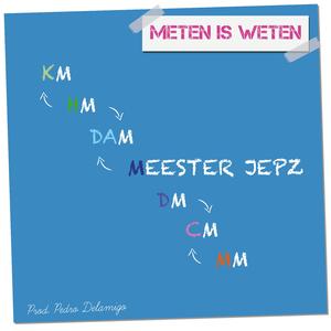 Meten is weten (feat. Pedro Delamigo)