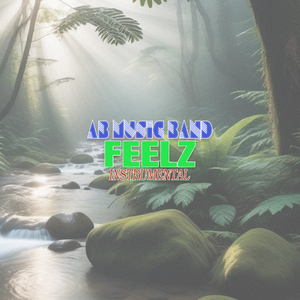 Feelz (Instrumental)