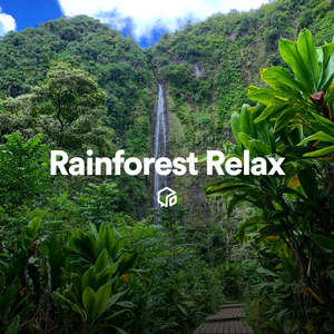 Stream Water Dripping with Birds in Forest (Loopable With No Fade)