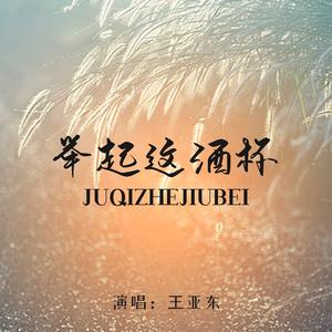 举起这酒杯 (Live合唱版)