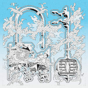 Flowers of the Netscape