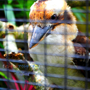 インサイドアウトサイダー