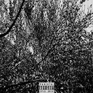 Lonely（Prod By Smile808）