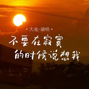 不要在寂寞的时候说想我