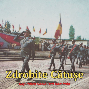 Zdrobite Cătușe