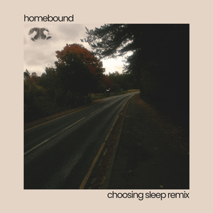 Homebound (choosing sleep Remix)