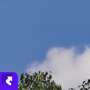 她（国风版） (现场)