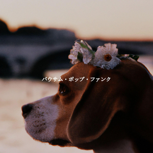 Jazz Organ Soundtrack for Lobby Loungers