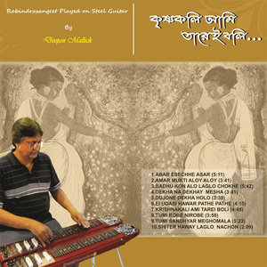 Badhu Kon Alo Laglo Chokhe