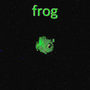 FROG