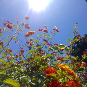 Amor Prohibido que Cambiaría el Mundo