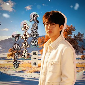 没有你的乌鲁木齐下起了雪