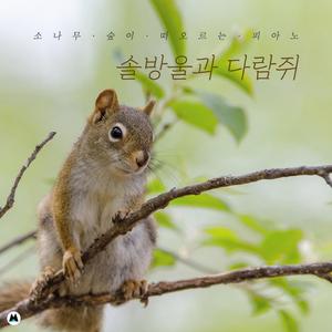 구름 따라 걷는 길