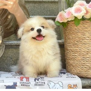 我用什么把你留住