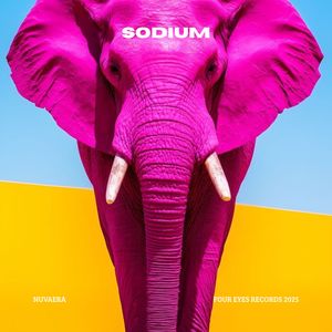 Sodium (Extended Mix)