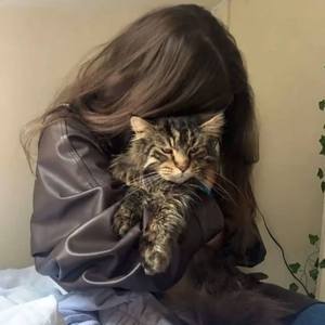 Ayrılığın Yükü