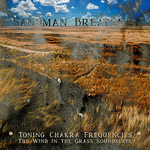 The Wind in the Grass Soundscape - The Violet Sahasrara Wave for Toning - The Crown Chakra at 768hz - Going Loop