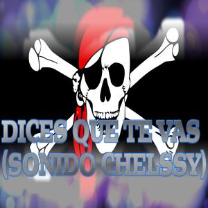 DICES QUE TE VAS (SONIDO CHELSSY)