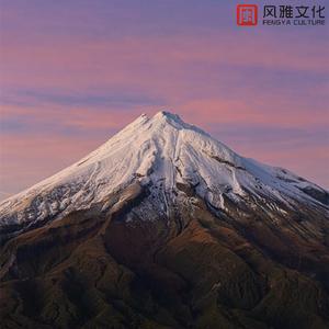 慵懒的猫与相框 -古筝