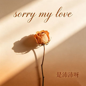 sorry my love