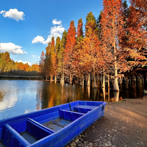 苏州河《 温柔版》
