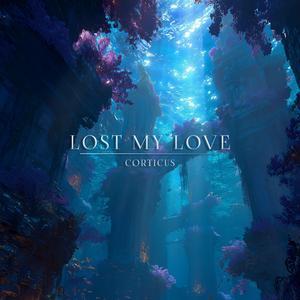 Lost My Love