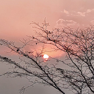 SOL DA MINHA VIDA