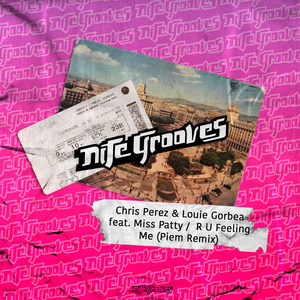 R U Feeling Me (Piem Remix)
