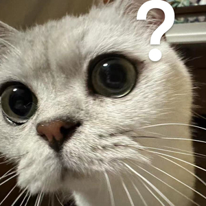 Huh？
