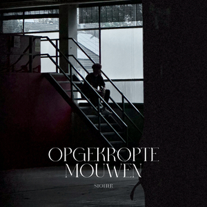 Opgekropte Mouwen