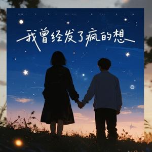 我曾经发了疯的想