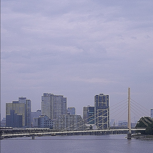 救済のスパイス