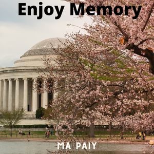Enjoy Memory