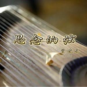 思念的弦