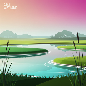 Clear Wetland