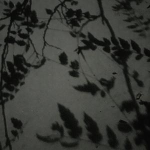 Banyan (feat. Megz)
