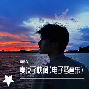 卖饺子快调 (电子琴音乐)