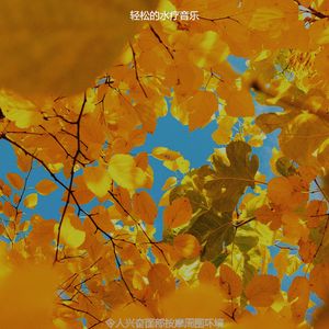 温和面部按摩梦想