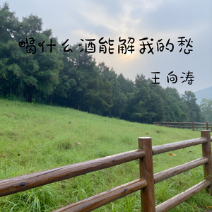 喝什么酒能解我的愁