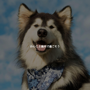 Phenomenal Moods for Aura Cafe