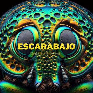 Escarabajo
