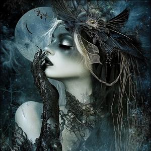 Veil of the Night
