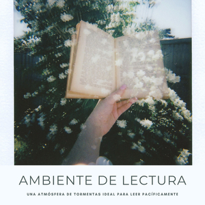 Conecciones