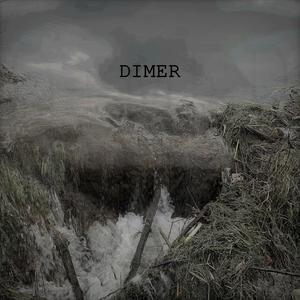 DIMER V