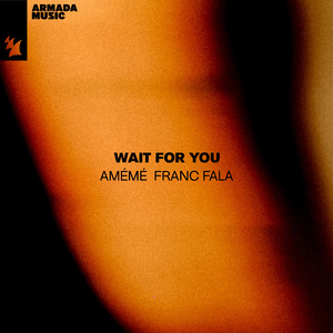 Wait For You (Extended Mix)