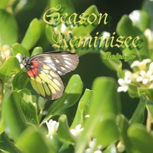 秋的思念（The Missing in Autumn）