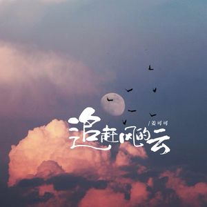 追赶风的云
