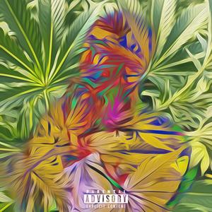 Chamaco de High (FREESTYLE)