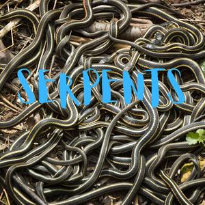 Serpents